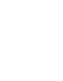 Leadership and professional growth